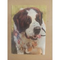 Календарь 1991 Сербернар