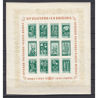 Флора. Лекарственные растения. Болгария. 1953. 1 блок. Michel N бл4 (50,0 е).
