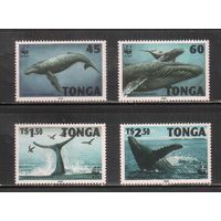 Тонга -1996 (Мих.1400-1403) , ** , Морская фауна,Киты (полная серия),