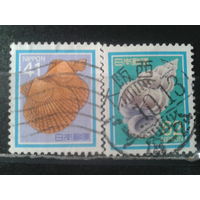 Япония, 1989. Ракушки, полная серия. Mi-1,8 евро гаш.