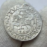Паўгрош / полугрош 1561 г. (4). Яркий блеск и прочекан!