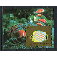 Фуджейра - 1972 - Рыбки - (незнач. пятно на клее) - [Mi. bl. 141] - 1 блок. MNH.  (Лот 57Jo)-T4P27
