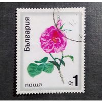Марка Болгария 1970 год Цветы