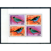 Суринам - 1977г. - птицы, авиапочта - 1 блок - полная серия, MNH [Mi bl. 18]. #3-WB-83-A-2