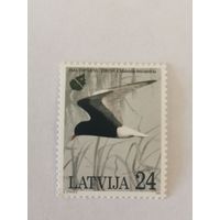 Европейский год охраны природы 1995 - Белокрылая болотная крачка (Chlidonias leucopterus)