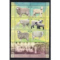 Аргентина 2009. Фауна. Овцы малый лист 3278