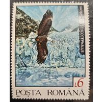 Румыния 1992. Фауна. Птицы. Haliaeetus Leucocephakus