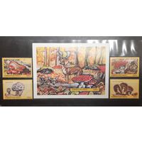 Азербайджан. Флора. Грибы. Блок и 4 марки (994)