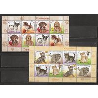 ФФ1 Беларусь 2017 Котята и щенята