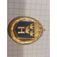 Значок Швеция