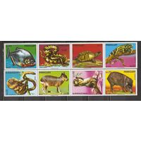 ФФ1 Парагавай 1975 Фауна