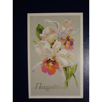 Поздравляем!  Ирисы.  1976 г.  подписанная.