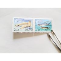 Россия  2003    2 м
