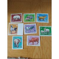 Вьетнам серия марок 1979г. Домашние животные.