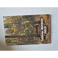 Тайны жизни леса