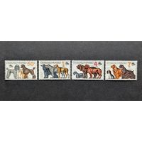 Собаки Фауна 4 марки Полная серия ** Чехословакия 1990 Mi 3055-3058
