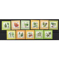 Беларусь 2004. Стандарт 8-й выпуск. Флора 11 марок  (287)