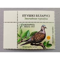 Голубь. Беларусь, 2023