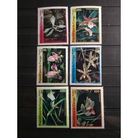 Конго 1999 г. Цветы.