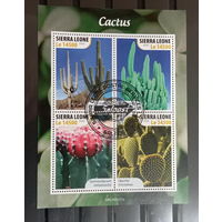 ЛИСТ ФЛОРА ЦВЕТЫ ГРИБЫ  СТО