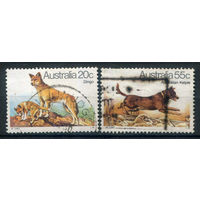 Австралия - 1980г. - собаки - 2 марки - гашёные. #3-WB-89-KS-1
