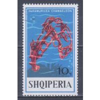 [2455] Албания 1975. Морская фауна.Кораллы и другие10к. Гашеная марка.