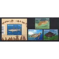 Словения 2013. Фауна. Рыбы 3 марки+ блок (1024)