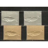 Батуми  , **  ,  Морская  Фауна , Дельфины, Киты (полная серия)
