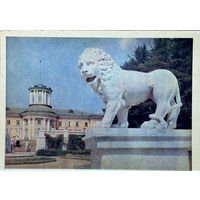 Открытка 1956  издательство Правда Архангельское Скульптура льва фото Умнова и Фридлянда тир. 150 000