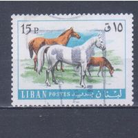 [604] Ливан 1968. Фауна.Лошади на почтовых марках. Гашеная марка.