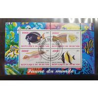 Бурунди. 2011 год. Фауна. Рыбы. Блок (сцепка 4 марки) (88)