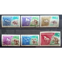 Доисторические животные.