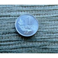 Werty71 Польша 1 грош 1949 Блеск