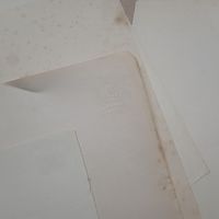 КНЯЗЯ ПАСКЕВИЧА . СТАРИННАЯ БУМАГА ДЛЯ ПИСЕМ С СУХИМ ШТАМПОМ клеймом. 19 век. ОРИГИНАЛ .