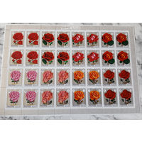 Флора. Розы. Манама (ОАЭ). 1971. 1 малый лист с/з. Michel N 411А (24,0 е)