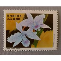 Орхидеи. Бразилия