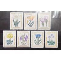 Болгария. Флора. Цветы (1302)