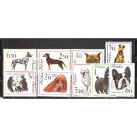 ФФ1 Польша 1963 Собаки