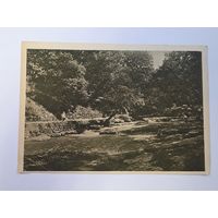 Река Ольховка в парке. Кисловодск. Чистая. Почтовая карточка 1920е - 1930е годы.Общий вид.