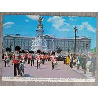 Этнография. Лондон. Отряд барабанщиков и талисман Ирландской гвардии покидают Букингемский дворец