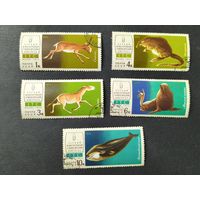 1974 СССР. 1-й Международный териологический конгресс. Полная серия