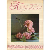 Подписанная открытка 1968г. БССР "Поздравляю! Композиция из цветов" худ. В. Пастушков, фото А. и М. Ананьиных