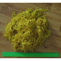 Бахрома от флагов, вымпелов, знамен