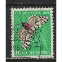 Швейцария 1953 В пользу фонда поддержки прав и потребностей швейцарских детей и молодежи Шелкопряд-монашенка #589