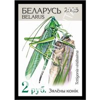 Беларусь 2025г 18-й стандартный выпуск. Зялёны конiк (самокл. )MNH