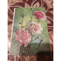 Открытка,телеграмма,подписана