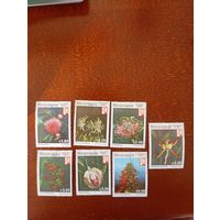 Флора Никарагуа