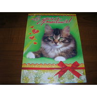 С днем рождения Котенок Двойная подписана