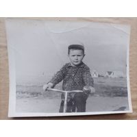 Фото в коллекцию