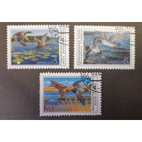 Марки. СССР. 1990 год. Птицы. Утки. Фауна (полный набор, 3 марки)